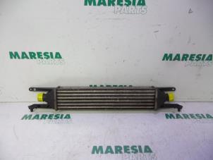 Intercooler from a Fiat Punto Evo (199) 1.3 JTD Multijet Start&Stop 16V Van 2010
