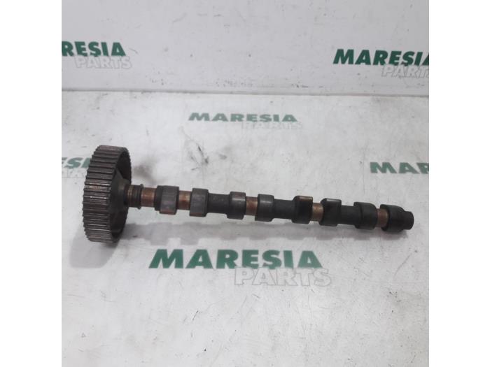 Usagé Arbre à cames Lancia Lybra 1.8 16V VVT Prix € 105,00 Règlement à la marge proposé par Maresia Parts