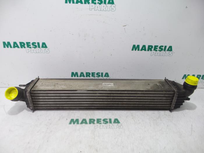 Usados Intercooler Renault Laguna III Estate (KT) 2.0 Turbo 16V GT Precio € 35,00 Norma de margen ofrecido por Maresia Parts
