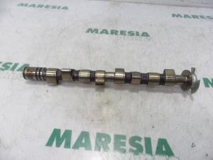 Used Camshaft Fiat Grande Punto (199) 1.4 Price € 75,00 Margin scheme offered by Maresia Parts