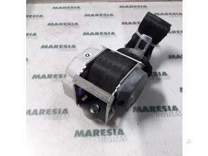 Used Rear seatbelt, right Alfa Romeo 147 (937) 1.6 Twin Spark 16V Price € 25,00 Margin scheme offered by Maresia Parts