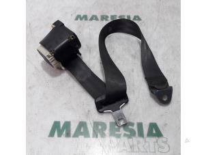 Used Rear seatbelt, left Citroen C3 Pluriel (HB) 1.6 16V Price € 65,00 Margin scheme offered by Maresia Parts