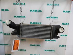 Used Intercooler Citroen C5 II Break (RE) 2.0 HDiF 16V Price € 25,00 Margin scheme offered by Maresia Parts