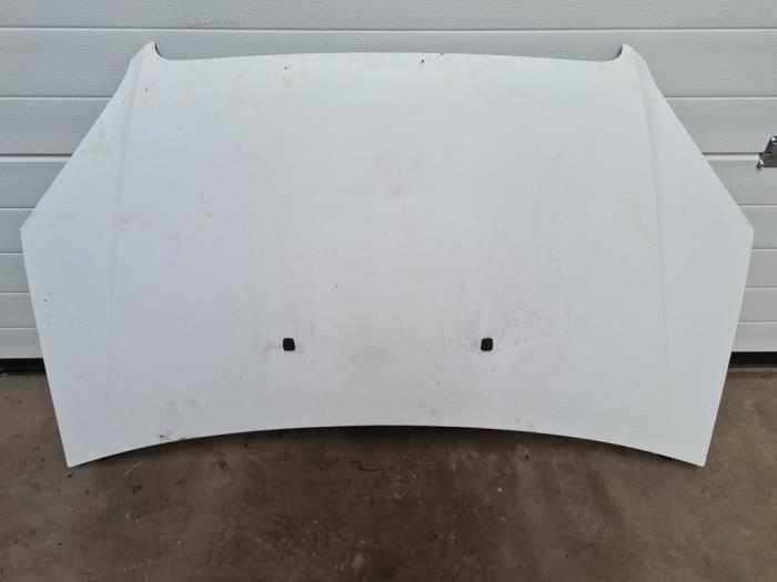 Usagé Capot Fiat Doblo Cargo (223) 1.9 JTD Multijet Prix € 75,00 Règlement à la marge proposé par Auto- en demontagebedrijf Eindewege