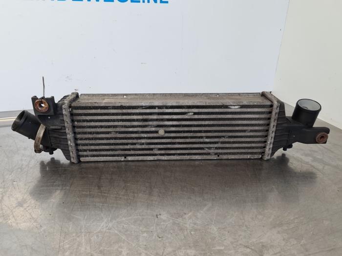 Intercooler Nissan Primera Wagon 1.9 dCi - 14461AW300 F9Q