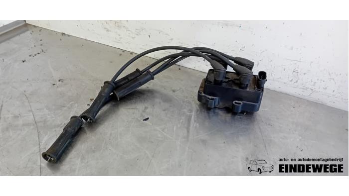 Usagé Bobine Renault Megane (EA) 1.6i Prix € 30,00 Règlement à la marge proposé par Auto- en demontagebedrijf Eindewege