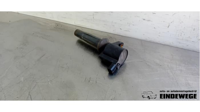 Gebrauchte Stift Zündspule Ford Focus 2 2.0 16V Preis € 15,00 Margenregelung angeboten von Auto- en demontagebedrijf Eindewege