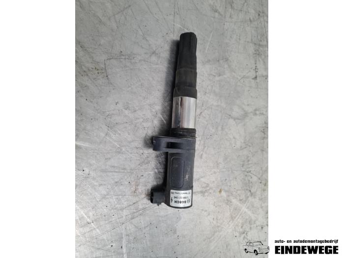 Gebrauchte Zündspule Renault Clio III (BR/CR) 1.4 16V Preis € 12,50 Margenregelung angeboten von Auto- en demontagebedrijf Eindewege