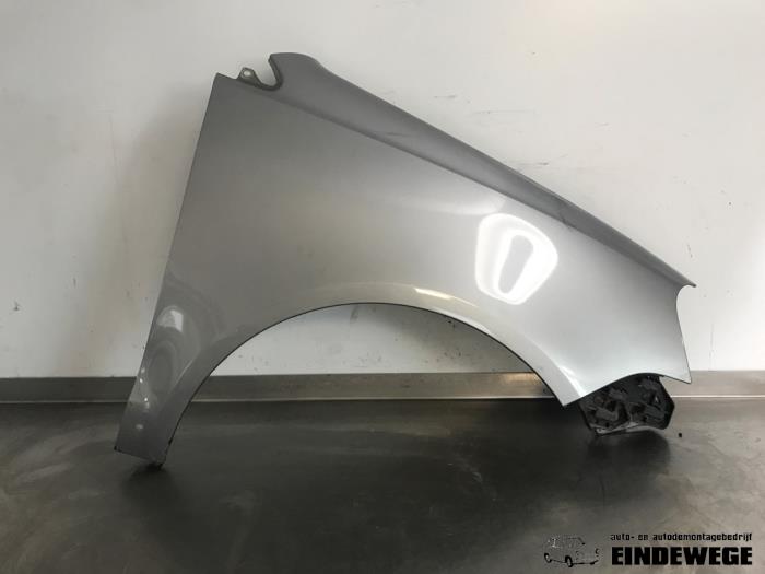 Używane Blotnik prawy przód Volkswagen Polo IV (9N1/2/3) 1.4 TDI 70 Cena € 40,00 Procedura marży oferowane przez Auto- en demontagebedrijf Eindewege