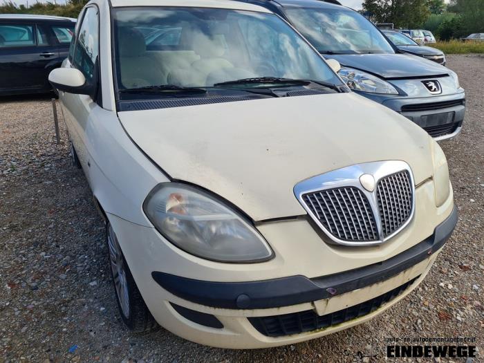 Używane Maska Lancia Ypsilon (843) 1.2 Cena € 75,00 Procedura marży oferowane przez Auto- en demontagebedrijf Eindewege