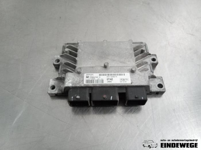 Used Engine management computer Ford Fiesta 6 (JA8) 1.4 16V Price € 105,00 Margin scheme offered by Auto- en demontagebedrijf Eindewege