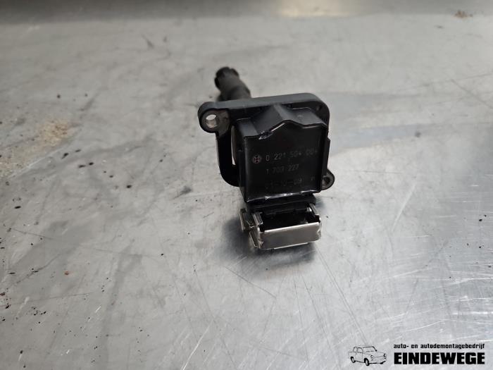 Usagé Bobine BMW X5 (E53) 3.0 24V Prix € 10,00 Règlement à la marge proposé par Auto- en demontagebedrijf Eindewege
