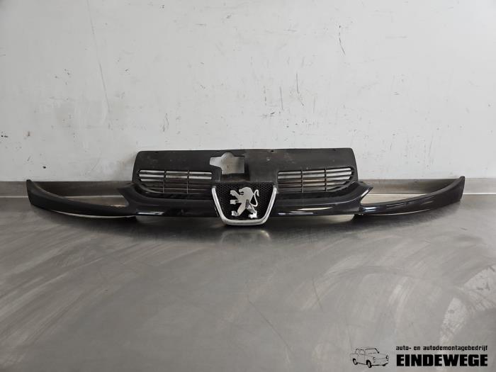 Używane Grill Peugeot 206 CC (2D) 1.6 16V Cena € 25,00 Procedura marży oferowane przez Auto- en demontagebedrijf Eindewege