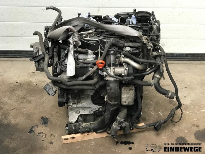 Used Engine Volkswagen Golf VI (5K1) 1.6 TDI 16V Price € 550,00 Margin scheme offered by Auto- en demontagebedrijf Eindewege