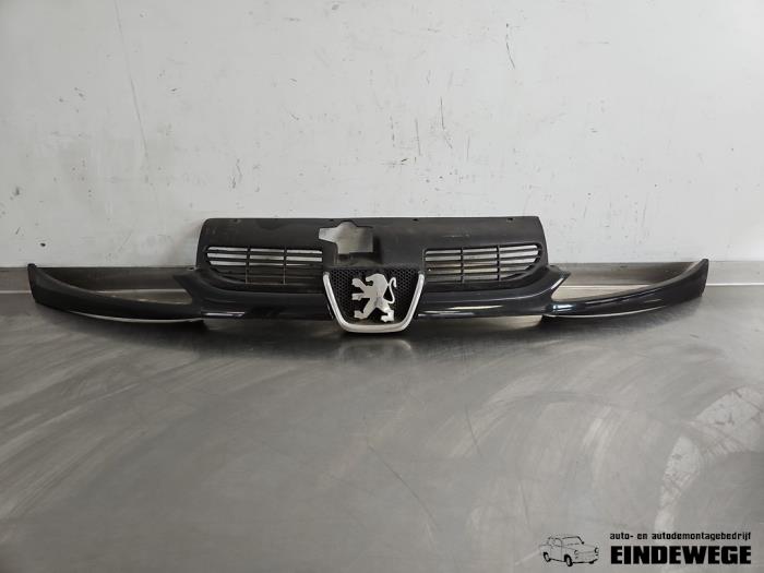 Używane Grill Peugeot 206 CC (2D) 1.6 16V Cena € 25,00 Procedura marży oferowane przez Auto- en demontagebedrijf Eindewege