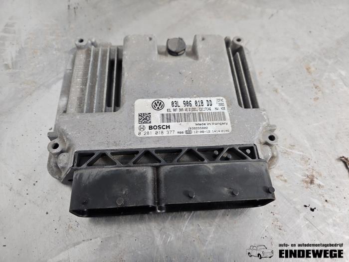 Used Engine management computer Volkswagen Caddy III (2KA,2KH,2CA,2CH) 2.0 TDI 16V Price € 210,00 Margin scheme offered by Auto- en demontagebedrijf Eindewege
