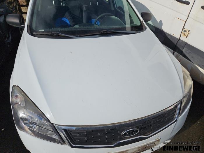 Używane Maska Kia Cee'd (EDB5) 1.6 CRDi 16V Cena € 105,00 Procedura marży oferowane przez Auto- en demontagebedrijf Eindewege