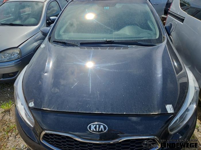 Używane Maska Kia Cee'd (JDB5) 1.6 GDI 16V Cena € 315,00 Procedura marży oferowane przez Auto- en demontagebedrijf Eindewege