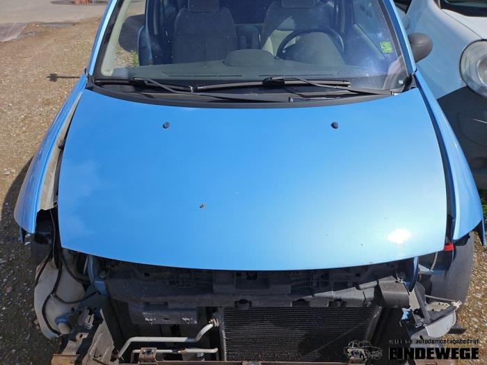 Usagé Capot Citroen C3 (FC/FL/FT) 1.4 Prix € 78,50 Règlement à la marge proposé par Auto- en demontagebedrijf Eindewege