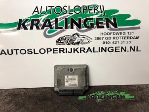Usagé Calculateur moteur Seat Cordoba (6L2) 1.4 16V Prix € 100,00 Règlement à la marge proposé par Autosloperij Kralingen B.V.
