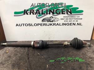 Used Front drive shaft, right Ford Focus 2 Wagon 1.6 16V Price € 50,00 Margin scheme offered by Autosloperij Kralingen B.V.