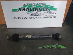 Usados Eje de transmisión derecha delante Volkswagen Polo IV (9N1/2/3) 1.4 16V 75 Precio € 50,00 Norma de margen ofrecido por Autosloperij Kralingen B.V.