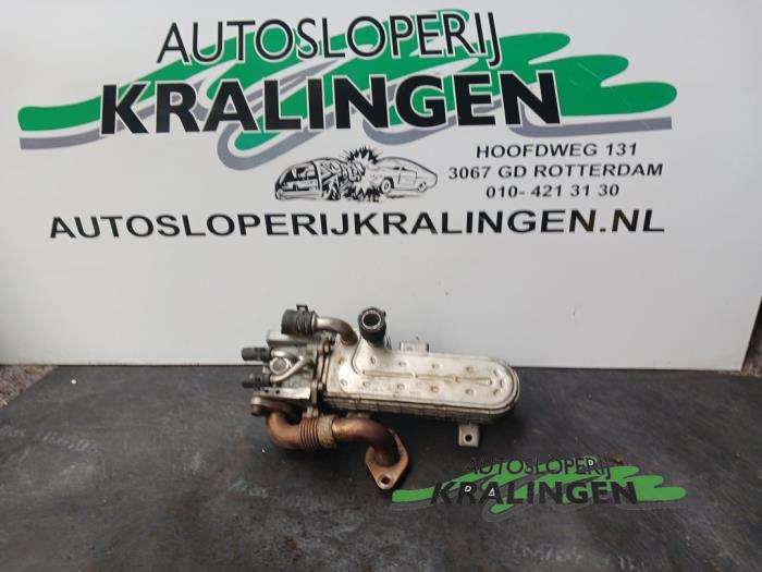 Usagé Valve RGE Seat Leon (1P1) 1.9 TDI 105 Prix € 24,98 Règlement à la marge proposé par Autosloperij Kralingen B.V.
