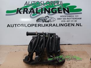 Gebrauchte LPI Injektor Peugeot 1007 (KM) 1.4 Preis € 80,00 Margenregelung angeboten von Autosloperij Kralingen B.V.