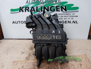 Usados Colector de admisión Audi A3 (8P1) 1.6 Precio de solicitud ofrecido por Autosloperij Kralingen B.V.