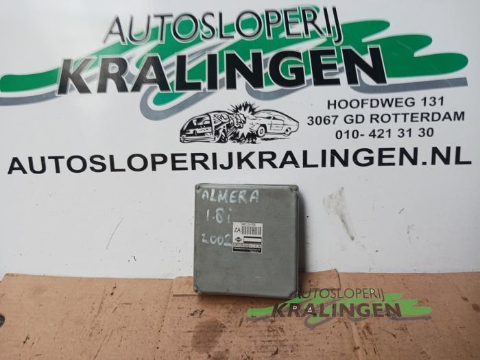 Used Engine management computer Nissan Almera Tino (V10M) 1.8 16V Price € 50,00 Margin scheme offered by Autosloperij Kralingen B.V.