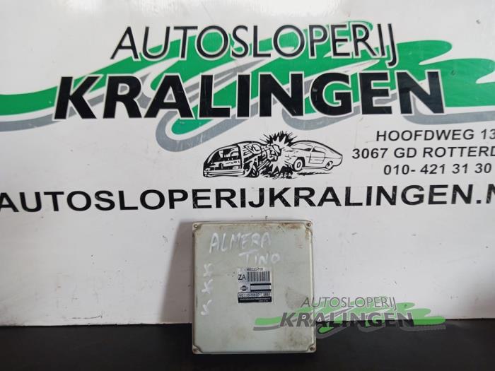 Used Engine management computer Nissan Almera Tino (V10M) 1.8 16V Price € 49,99 Margin scheme offered by Autosloperij Kralingen B.V.