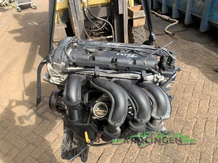 Used Engine Ford Focus 2 1.6 16V Price € 249,99 Margin scheme offered by Autosloperij Kralingen B.V.