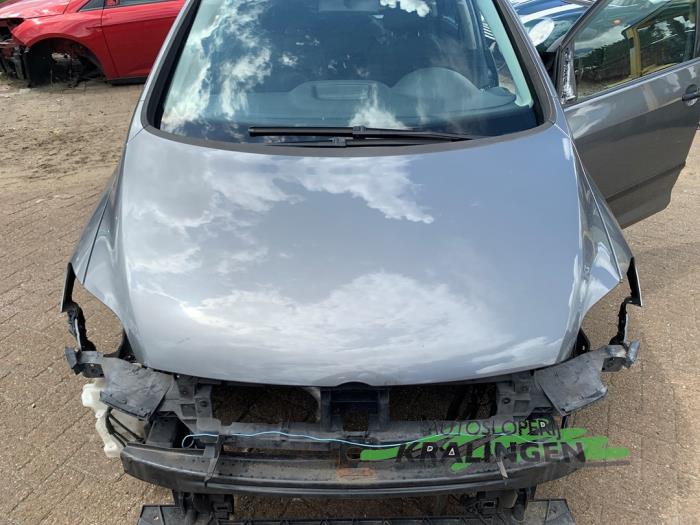 Używane Maska Volkswagen Golf Plus (5M1/1KP) 1.6 FSI 16V Cena € 149,99 Procedura marży oferowane przez Autosloperij Kralingen B.V.