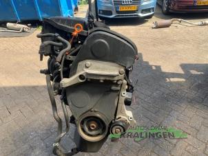 Motor van een Seat Ibiza III (6L1) 1.4 16V 85 2008