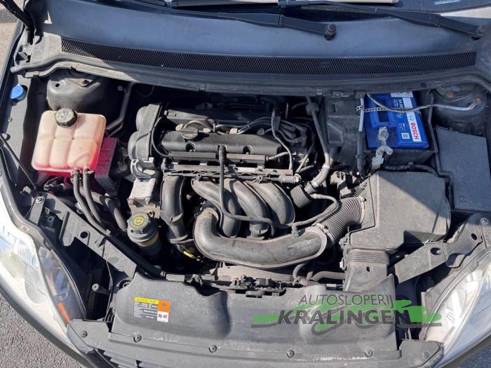 Used Engine Ford Focus 2 1.6 16V Price € 499,98 Margin scheme offered by Autosloperij Kralingen B.V.