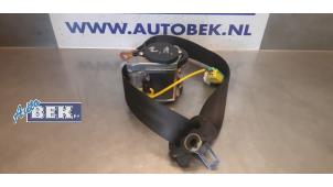Used Rear seatbelt, left Porsche Cayenne (9PA) 4.5 S V8 32V Price € 95,00 Margin scheme offered by Auto Bek