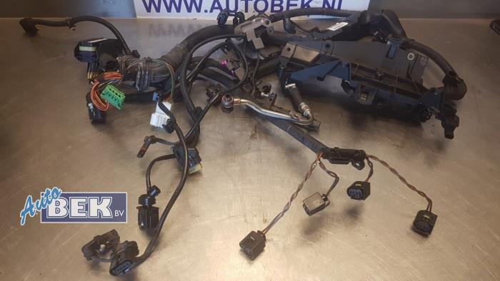 Wiring harness engine room from a BMW 3 serie Touring (F31) 316d 2.0 16V 2013