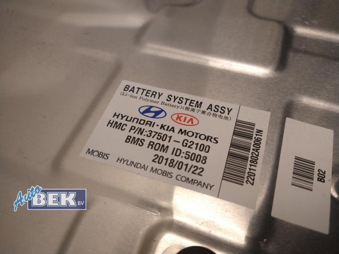 Battery (Hybrid) from a Hyundai Ioniq 1.6 GDI 16V Hybrid 2018