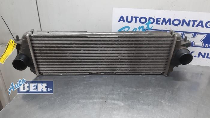 Usados Intercooler Opel Vivaro 1.9 DI Precio € 75,00 Norma de margen ofrecido por Auto Bek