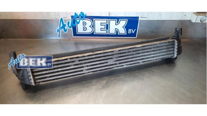 Used Intercooler Volkswagen Polo V (6R) 1.6 TDI 16V 90 Price € 30,00 Margin scheme offered by Auto Bek