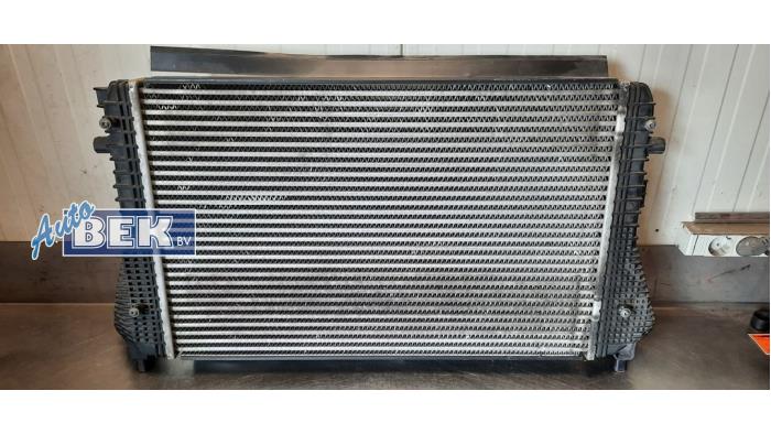 Usados Intercooler Volkswagen Passat (3C2) 2.0 TDI 16V Bluemotion Precio € 75,00 Norma de margen ofrecido por Auto Bek
