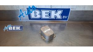 Usados Refrigerador de aceite Volkswagen Jetta IV (162/16A) 2.0 TDI 16V Precio € 35,00 Norma de margen ofrecido por Auto Bek