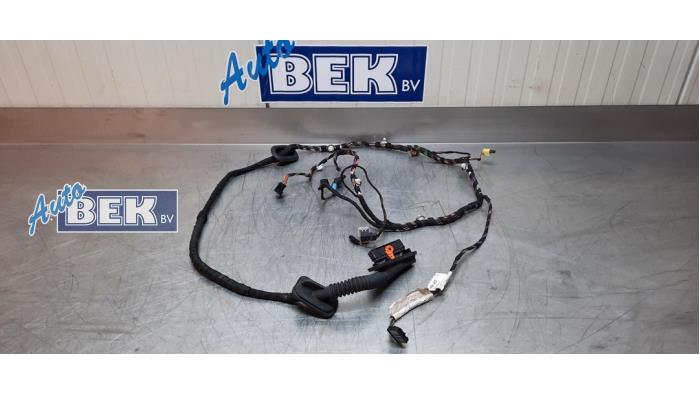 Begagnade Kablage Volkswagen Polo V (6R) 1.0 12V BlueMotion Technology Pris € 35,00 Marginaltabell erbjuds av Auto Bek