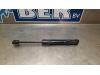 BMW 3 serie (F30) 330d 3.0 24V Gasdämpfer Motorhaube links