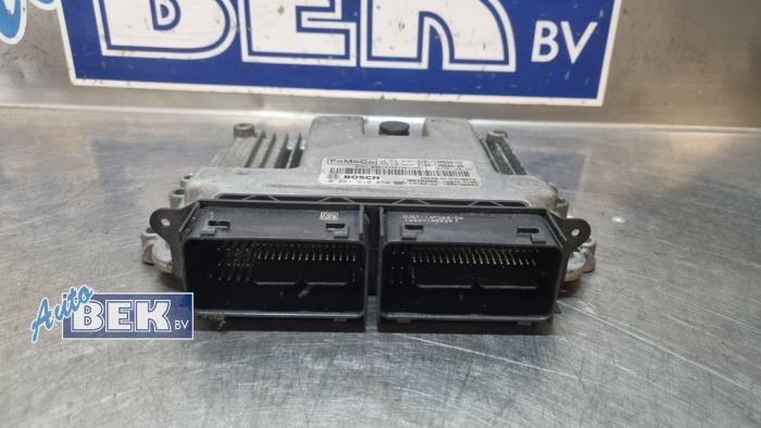 Used Engine management computer Ford Fiesta 6 (JA8) 1.0 SCI 12V 80 Price € 99,50 Margin scheme offered by Auto Bek