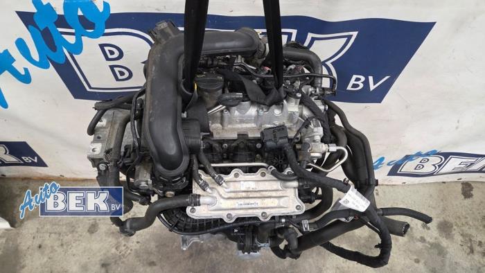 Używane Silnik Volkswagen Polo VI (AW1) 1.0 TSI 12V Cena € 590,00 Procedura marży oferowane przez Auto Bek