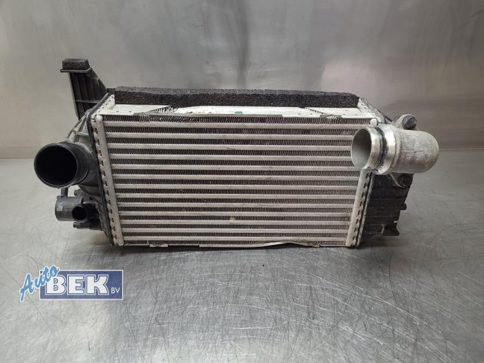 Usados Intercooler Hyundai Tucson (NX) 1.6 T-GDI Hybrid 48V Precio € 149,99 Norma de margen ofrecido por Auto Bek