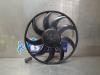 Ford Focus 4 1.0 EcoBoost 12V Hybrid 155 Moto ventilateur