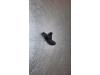 BMW M3 (G80) 3.0 Competition xDrive Turbo 24V Sensor (sonstige)