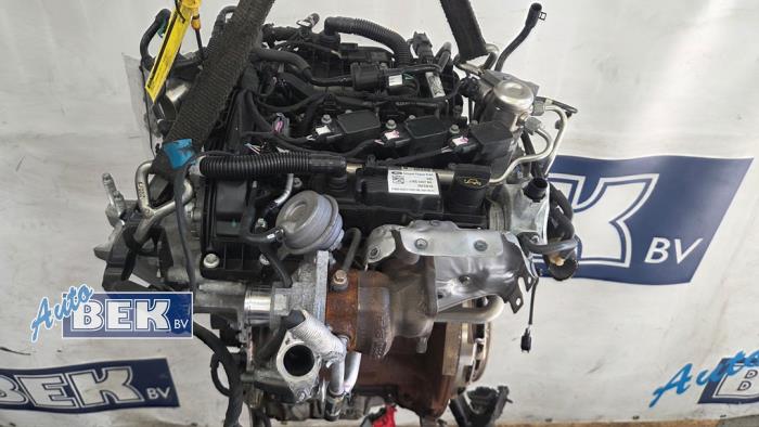 Used Engine Ford Fiesta 7 1.0 EcoBoost 12V 100 Price € 1.495,00 Margin scheme offered by Auto Bek